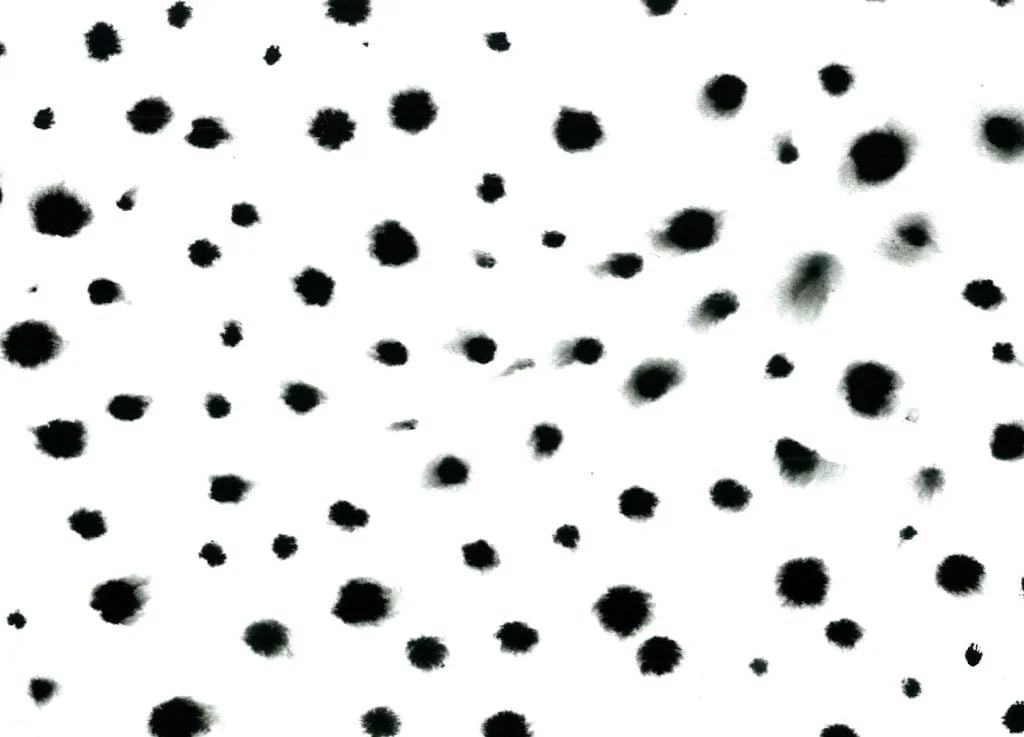 black spots on white surface