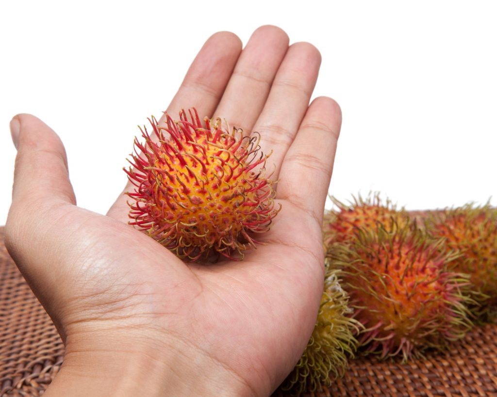 What Are The Perks Of Laser Hair Removal Treatment