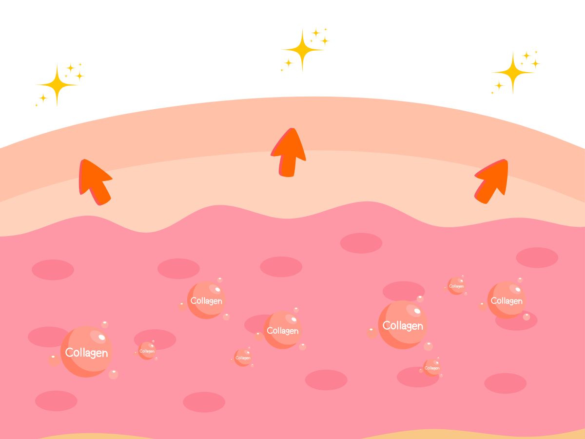 Oligio Long Lasting Firmness