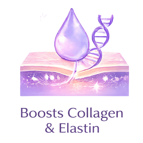 Boosts Collagen & Elastin