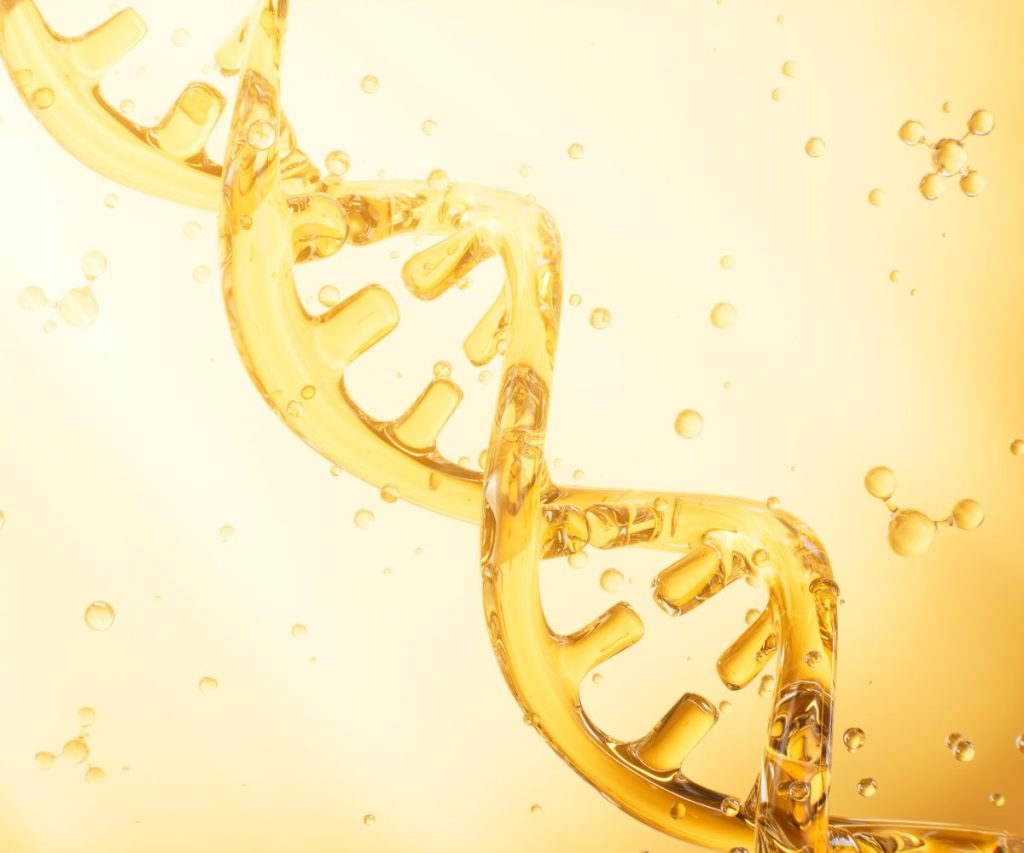 How salmon DNA works